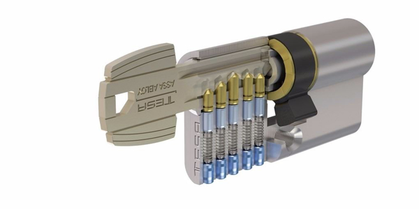 Imagen de Cilindro De Seguridad Tesa TE5 60mm (30-30) niq. Dent.